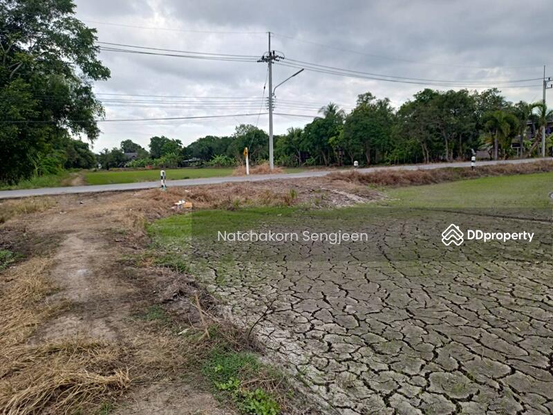 For Sale - Land for sale, 30 rai, Ongkharak-Rangsit Road, Khlong 16, Buengsan, Ongkharak, Nakhon Nayok., Nakhon Nayok