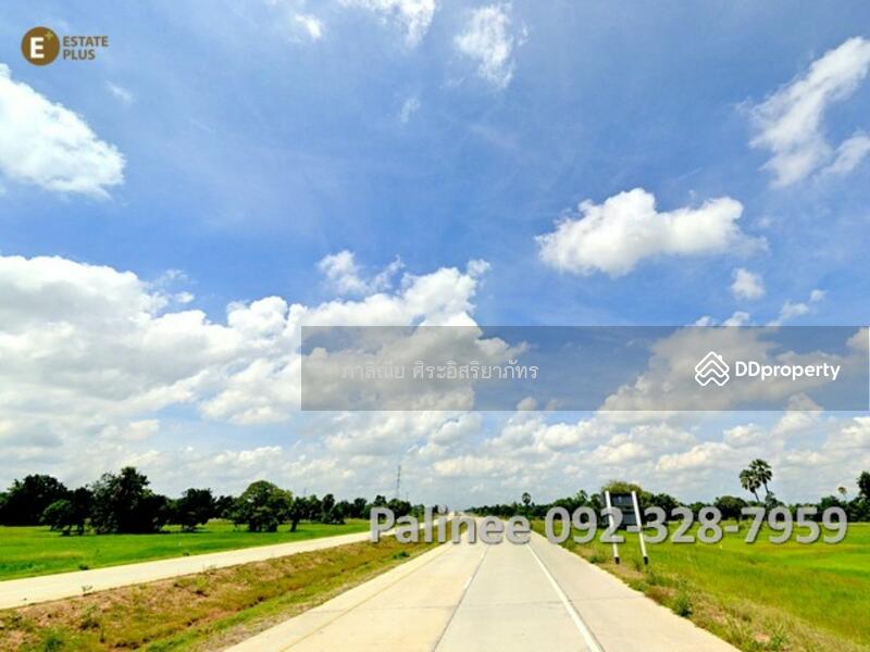 ขาย - ขายที่ดินโคราช ขายด่วน Land for Sell in Korat, Nakhon Ratchasima, นครราชสีมา