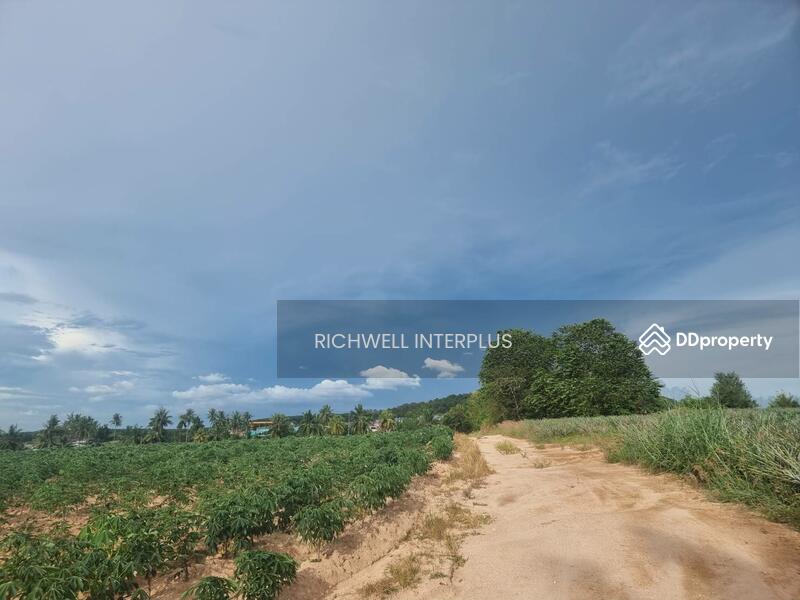 Land for sale, purple pattern, 4 rai, Huai Prap Mapyangphon, suitable