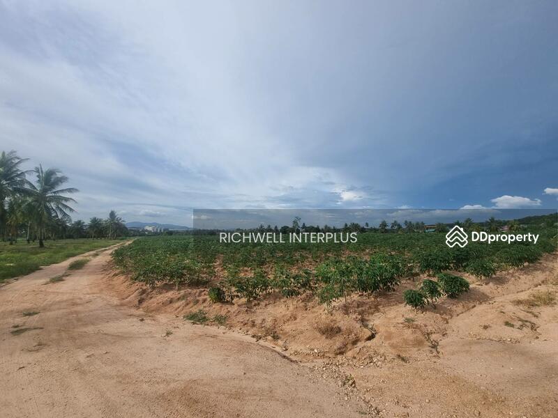 Land for sale, purple pattern, 4 rai, Huai Prap Mapyangphon, suitable