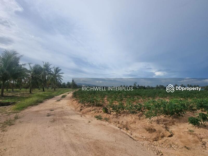 Land for sale, purple pattern, 4 rai, Huai Prap Mapyangphon, suitable