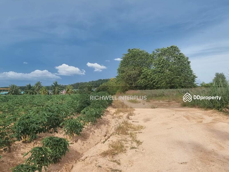 Land for sale, purple pattern, 4 rai, Huai Prap Mapyangphon, suitable