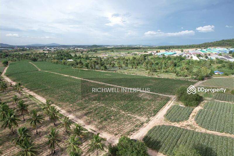 Land for sale, purple pattern, 4 rai, Huai Prap Mapyangphon, suitable