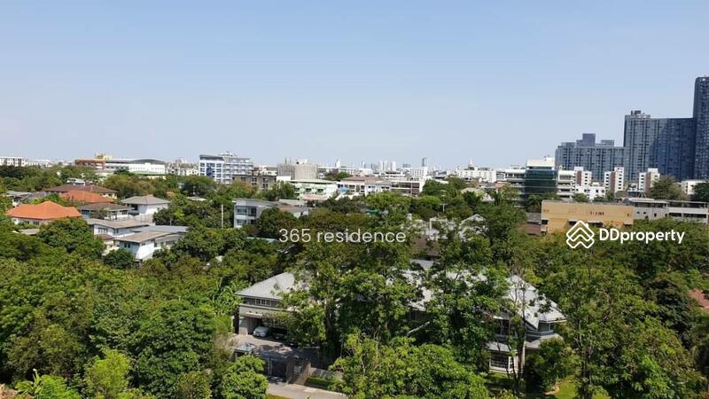 Chambers On-Nut Station, Bangkok, Soi Sukhumvit 81, Sukhumvit Road, Phra Kanong Nua, Watthana, Bangkok, 1 Bedroom, 27 sqm, Condo For Rent, by Ti Nitipat, 10642024 - DDproperty.com