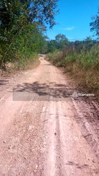 ถนนหน้าที่ดินห่างถนน ชยางกูร (ถนนดำ)เพียง 200 เมตร