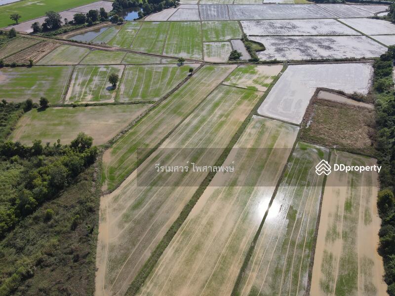 ขายที่ดิน ติดถนนเลี่ยงเมืองพิษณุโลก อ.วังทอง (เหมาะทำการค้า + สำนักงาน + ปั๊มน้ำมัน + คลังสินค้า) 34