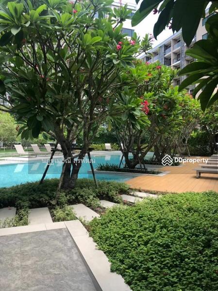 Blossom Condo @ Sathorn-Charoenrat : บลอสซั่ม คอนโด สาทร-เจริญราษฎร์, กรุงเทพ, ถนนเจริญราษฎร์, ทุ่งวัดดอน, สาทร, กรุงเทพ, 49 ตร.ม., คอนโด ขาย, โดย นัฏฐ์เมธิณี สุรพัฒน์, 10648110 - DDproperty.com