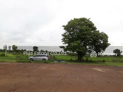 ขาย - ขายที่ดิน 5-10 ไร่ หนองเสือ รังสิตคลอง13 ห่างจากฟิวเจอร์รังสิตแค่ 45 กม.ขับรถไม่ถึงชั่วโมง, ปทุมธานี