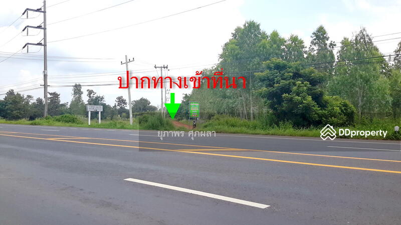 ขาย - ขายที่นา ใกล้ ม.อุบลราชธานี จังหวัดอุบลราชธานี, อุบลราชธานี