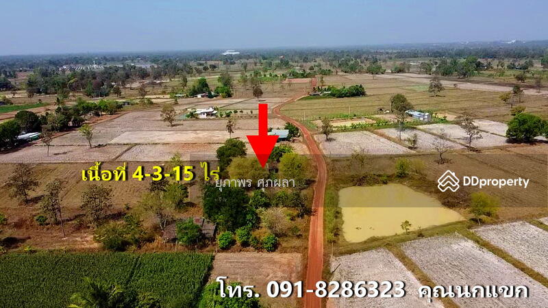 ขาย - ขายที่นา ใกล้ ม.อุบลราชธานี จังหวัดอุบลราชธานี, อุบลราชธานี