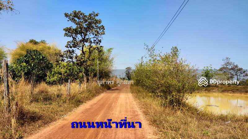 ขาย - ขายที่นา ใกล้ ม.อุบลราชธานี จังหวัดอุบลราชธานี, อุบลราชธานี