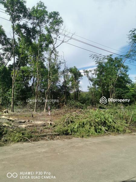 ขายที่ดินติดทะเลสาบในสนามกอล์ฟอัลไพน์ ปทุมธานี, Pathum Thani, พหลโยธิน, Khlong Ha, Khlong Luang, Pathum Thani, , 2,796 sqm, Land For Sale, by ณัฐธยาน์ ไชยวรุตย์, 10657725 - DDproperty.com