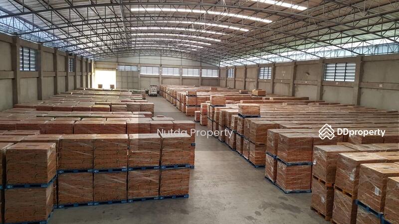 โกดังพร้อมออฟฟิศ คลอง 10, ปทุมธานี, บึงทองหลาง, ลำลูกกา, ปทุมธานี, 5,000 ตร.ม., โกดัง-โรงงาน ให้เช่า, โดย Tida phanthonglarptawee, 10658301 - DDproperty.com