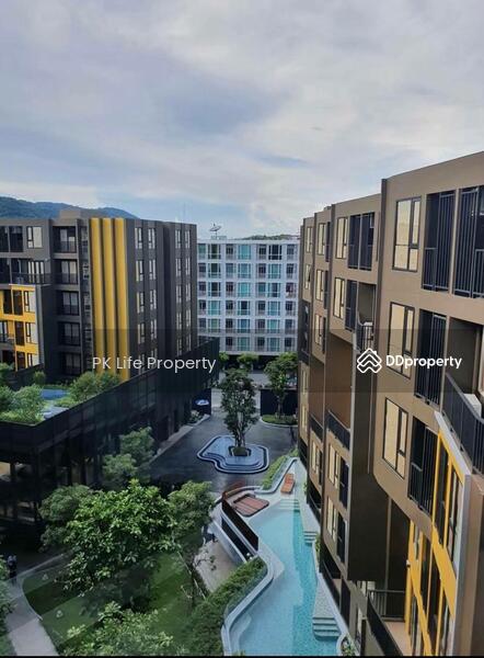 The Base Central, Phuket, Chao Fah Tawan Tok Rd, Wichit, Muang Phuket, Phuket, 1 Bedroom, 35 sqm, Condo For Rent, by PK Life Property, 10659714 - DDproperty.com