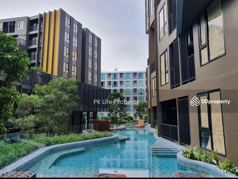 The Base Central : เดอะ เบส เซ็นทรัล ภูเก็ต, ภูเก็ต, ถนน เจ้าฟ้าตะวันตก, วิชิต, เมืองภูเก็ต, ภูเก็ต, 35 ตร.ม., คอนโด ให้เช่า, โดย PK Life Property, 10659714 - DDproperty.com