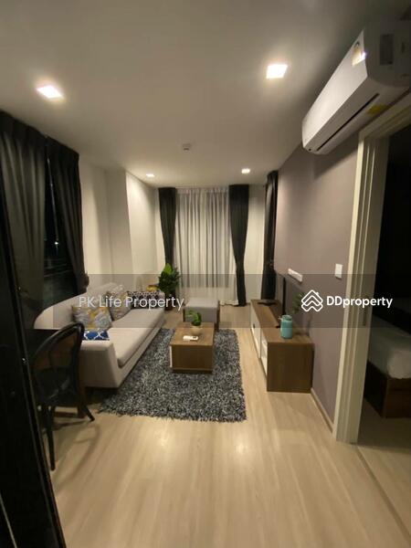 The Base Central, Phuket, Chao Fah Tawan Tok Rd, Wichit, Muang Phuket, Phuket, 1 Bedroom, 35 sqm, Condo For Rent, by PK Life Property, 10659714 - DDproperty.com