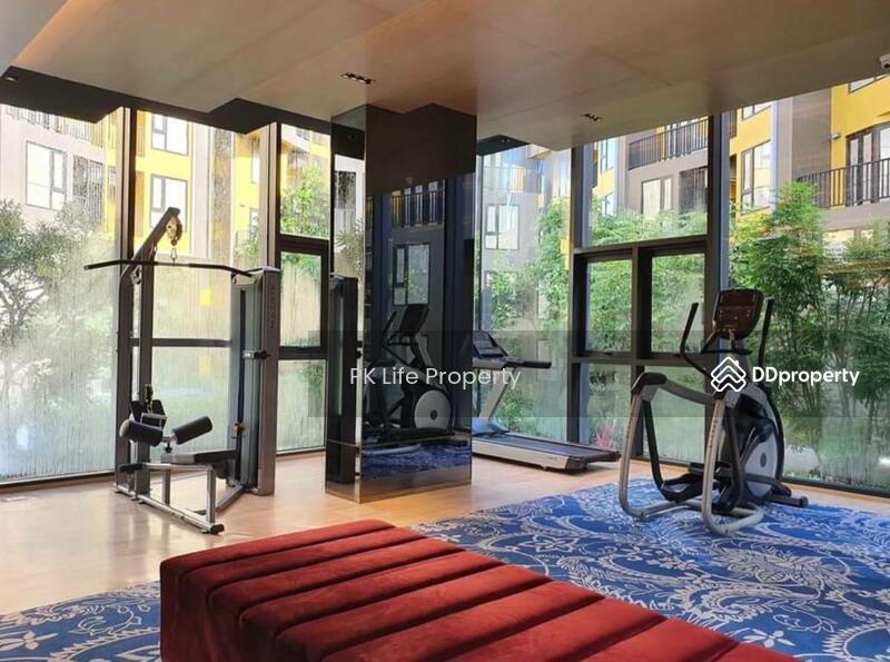 The Base Central, Phuket, Chao Fah Tawan Tok Rd, Wichit, Muang Phuket, Phuket, 1 Bedroom, 35 sqm, Condo For Rent, by PK Life Property, 10659714 - DDproperty.com