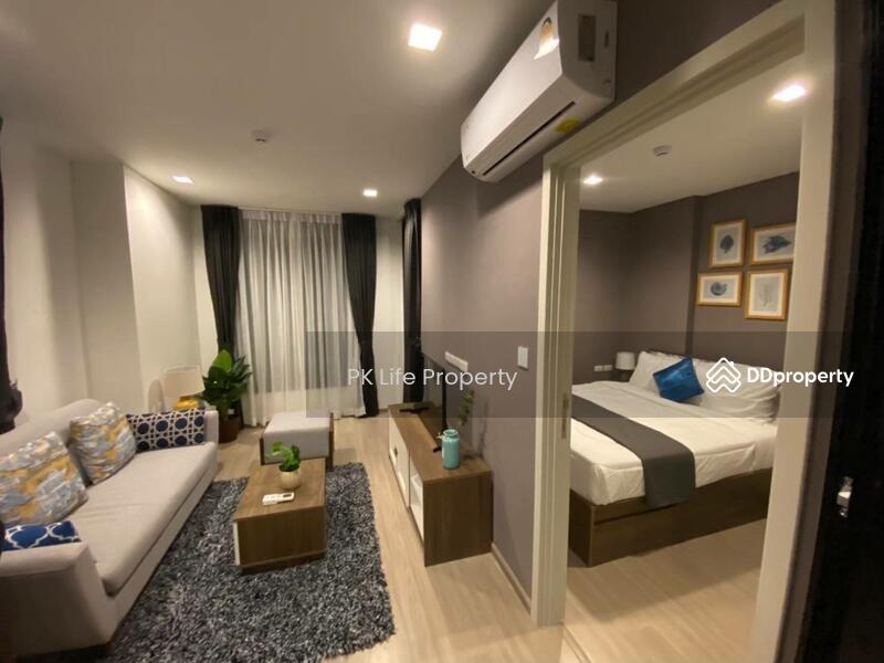 The Base Central, Phuket, Chao Fah Tawan Tok Rd, Wichit, Muang Phuket, Phuket, 1 Bedroom, 35 sqm, Condo For Rent, by PK Life Property, 10659714 - DDproperty.com