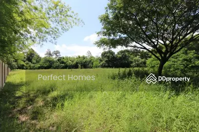 ขาย - ที่ดิน สำหรับขาย 3.5 ไร่ ใกล้แกรนด์แคนยอน, เชียงใหม่