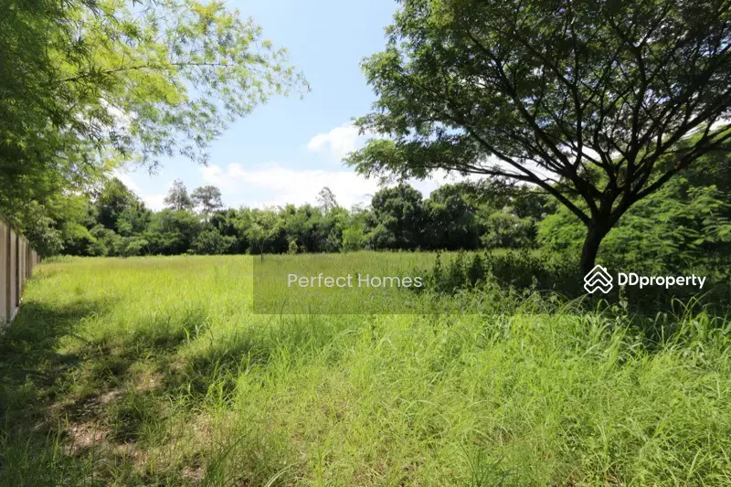 ที่ดิน สำหรับขาย 3.5 ไร่ ใกล้แกรนด์แคนยอน, เชียงใหม่, น้ำแพร่, หางดง, เชียงใหม่, 4,820 ตร.ม., ที่ดิน ขาย, โดย คุณ รุ่งทิพย์, 10660859 - DDproperty.com