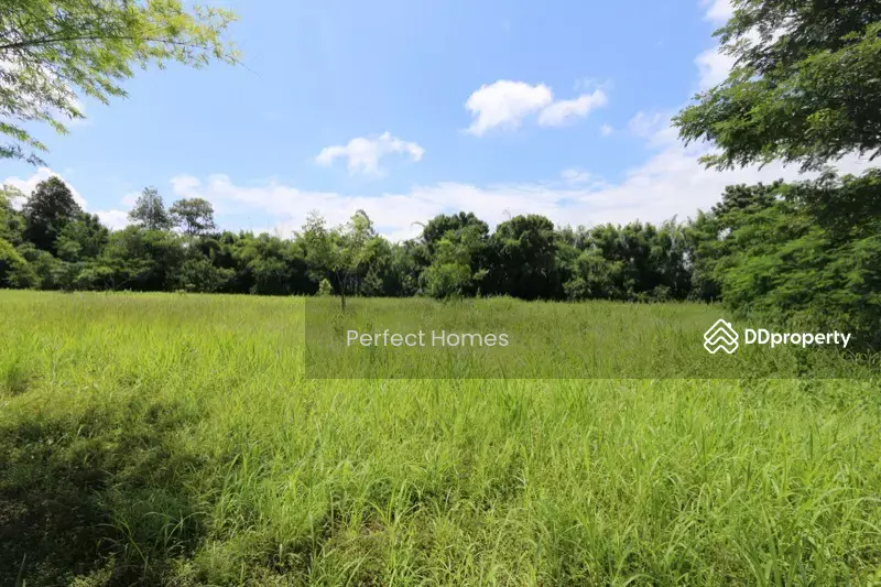 3.5 Rai Land For Sale Close To Grand Canyon, Chiang Mai, Nam Phare, Hang Dong, Chiang Mai, , 4,820 sqm, Land For Sale, by คุณ รุ่งทิพย์, 10660859 - DDproperty.com