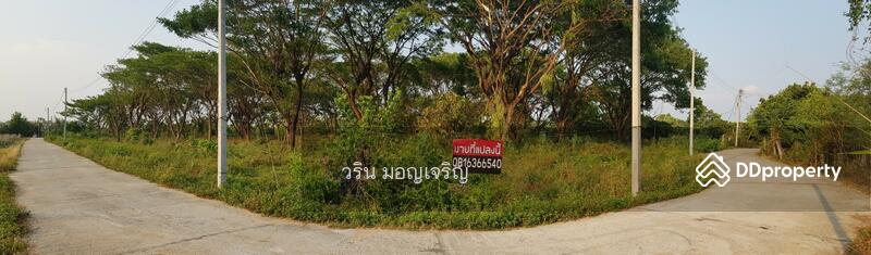 Land with mountain view, concrete road,water electric internet supply.40 min from CNX airport, Lamphun, ถนนไม่มีชื่อด้านหลังวัดกอม่วง, Mae Raeng, Pa Sang, Lamphun, , 16,156 sqm, Land For Sale, by Warin Moncharoen, 10661009 - DDproperty.com