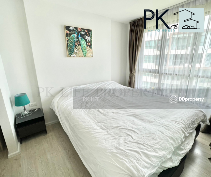 Centrio Condominium, Phuket, Wichit Songkhram, Kathu, Kathu, Phuket, 1 Bedroom, 30 sqm, Condo For Rent, by PK LIFE Property, 10667312 - DDproperty.com