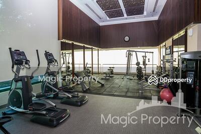 ขาย - Circle Condominium : เซอร์เคิล คอนโดมิเนียม, กรุงเทพ