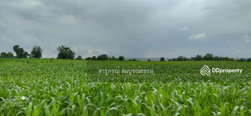 ขาย - ขายที่ดินเปล่า โคกกรวด ใกล้ตลาดต้นไม้ ใกล้สถานศึกษา, นครราชสีมา