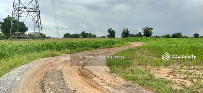 ด้่านหน้าที่ดินเป็นถนนหินคลุก  
