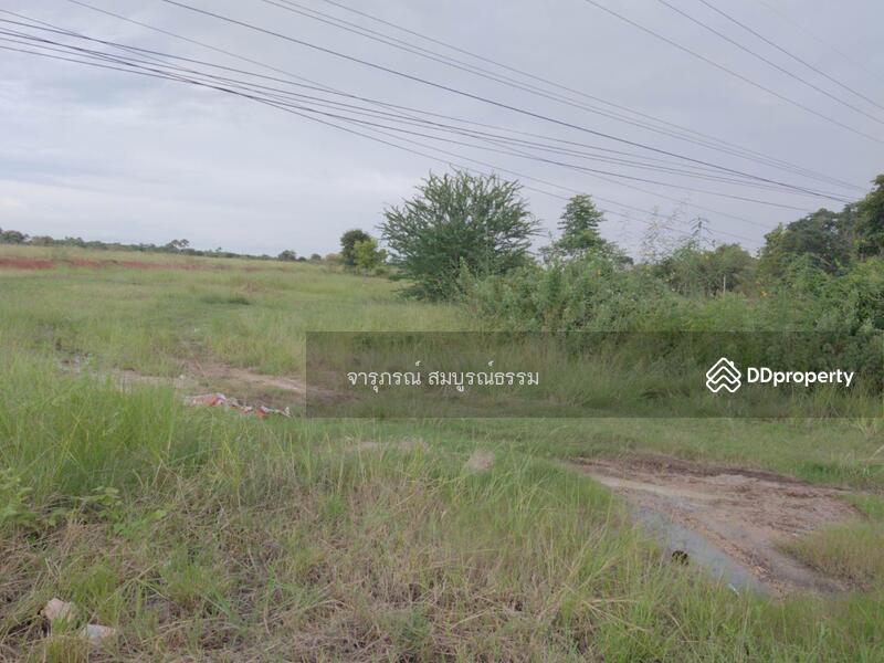 บริเวณด้านหน้าทรพัย์