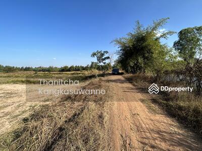 ขาย - ขาย ที่ดิน 2 ไร่ บ้านทุ่ม จ.ขอนแก่น, ขอนแก่น