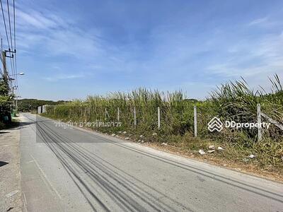ขาย - ขายที่ดิน กรุงเทพกรีฑา ซอยมอเตอร์เวย์ 7 แยก 2 เขตสะพานสูง กรุงเทพมหานคร, กรุงเทพ