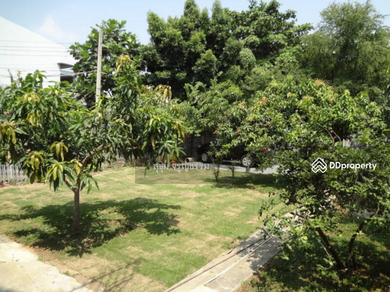 For Sale - Detached house Bangna Udomsuk 171 sqw near BTS and The Bangkok Mall, Bangkok