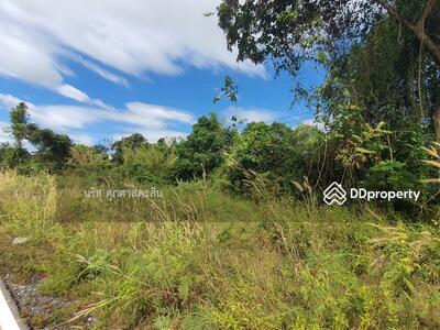 ขาย - ที่ดินปราจีนบุรี, ปราจีนบุรี