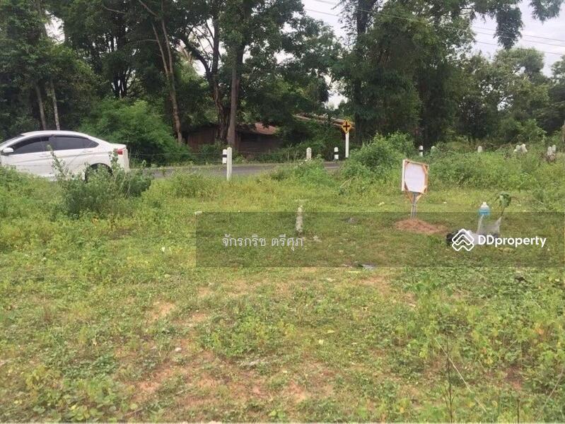 ขาย - ที่ดิน ถนนสนามกีฬากลางอุบลราชธานี, อุบลราชธานี