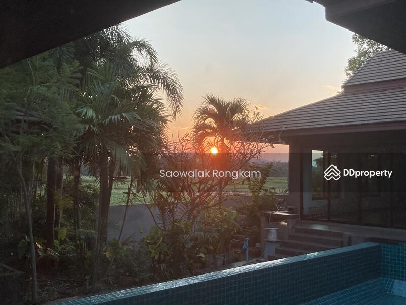 For Sale - Modern Tropical Thai Pool Villa, Nan