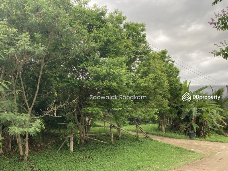 For Sale - Modern Tropical Thai Pool Villa, Nan