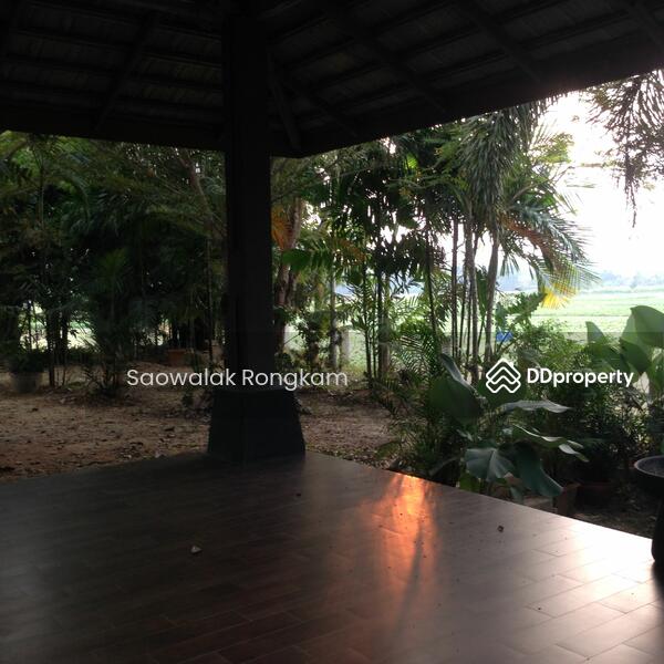 For Sale - Modern Tropical Thai Pool Villa, Nan