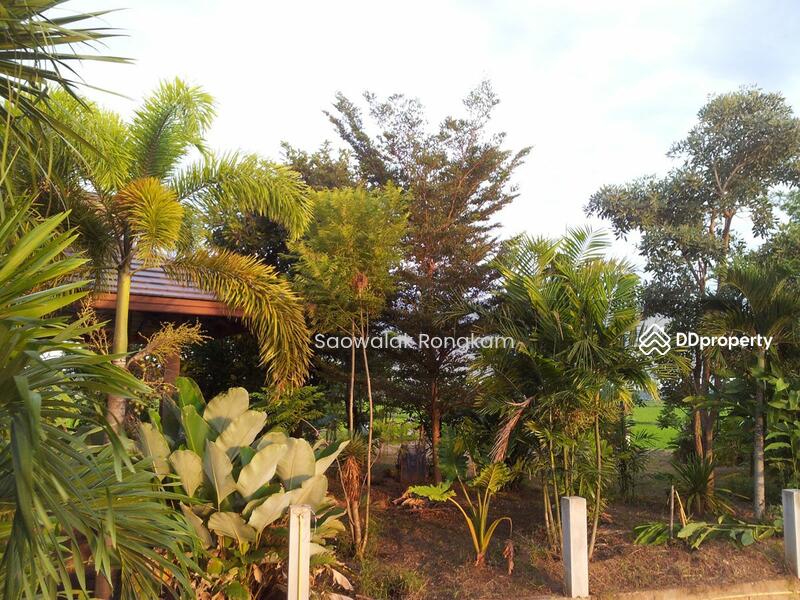For Sale - Modern Tropical Thai Pool Villa, Nan