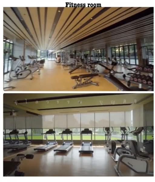 IDEO O2 บางนา, กรุงเทพ, 195 ถนนสรรพาวุธ, บางนาใต้, บางนา, กรุงเทพ, 33 ตร.ม., คอนโด ให้เช่า, โดย อุไลวรรณ บุญศิริ, 10697928 - DDproperty.com