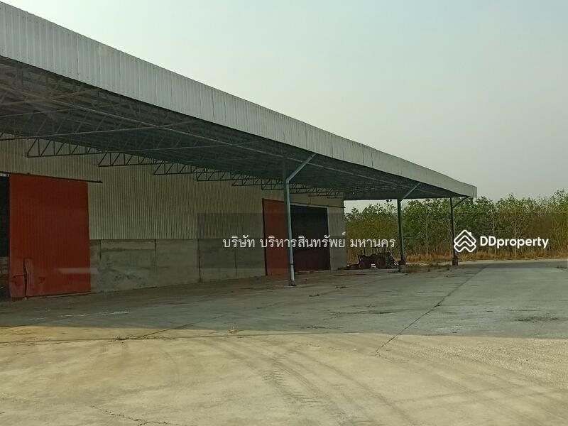 ขาย - 42230, เลย