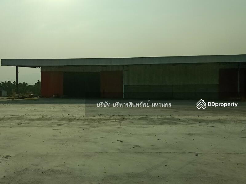 ขาย - 42230, เลย