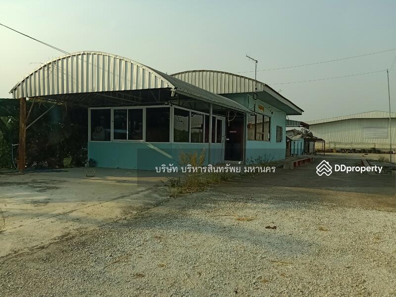 ขาย - 42230, เลย