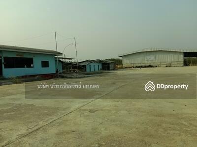 ขาย - 42230, เลย