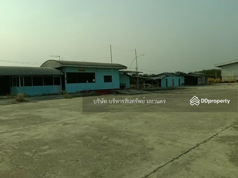 ขาย - 42230, เลย