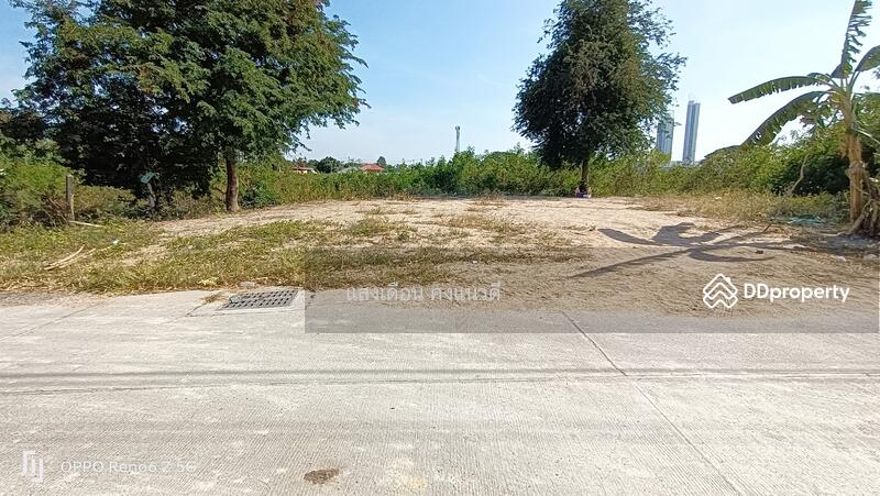 ขายที่ดิน104ตร.วาเข้าซอยชัยพฤกษ์ถ.จอมเทียนสายสอง ห่างทะเลเพียง2.5กม., ชลบุรี, 1 จอมเทียนสายสอง ซอยชัยพฤกษ์, หนองปรือ, บางละมุง, ชลบุรี, 416 ตร.ม., ที่ดิน ขาย, โดย แสงเดือน คงแนวดี, 10703019 - DDproperty.com
