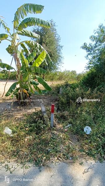 Land near Jomtien104sq.wah at lease beach 2.5km, Chon Buri (Pattaya), 1 จอมเทียนสายสอง ซอยชัยพฤกษ์, Nong Pru, Bang Lamung (Pattaya), Chon Buri (Pattaya), , 416 sqm, Land For Sale, by แสงเดือน คงแนวดี, 10703019 - DDproperty.com