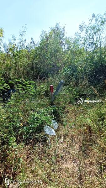 ขายที่ดิน104ตร.วาเข้าซอยชัยพฤกษ์ถ.จอมเทียนสายสอง ห่างทะเลเพียง2.5กม., ชลบุรี, 1 จอมเทียนสายสอง ซอยชัยพฤกษ์, หนองปรือ, บางละมุง, ชลบุรี, 416 ตร.ม., ที่ดิน ขาย, โดย แสงเดือน คงแนวดี, 10703019 - DDproperty.com