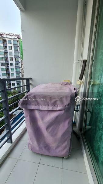 @City Condominium : แอท ซิตี้ คอนโดมิเนียม, กรุงเทพ, 169 169 ซอยสุขุมวิท 101/1 ถนนสุขุมวิท แขวงบางจาก เขตพระโขนง กรุงเทพมหานคร, บางจาก, พระโขนง, กรุงเทพ, 50 ตร.ม., คอนโด ให้เช่า, โดย อนงค์ลักษณ์ ทรงประโคน, 10703380 - DDproperty.com